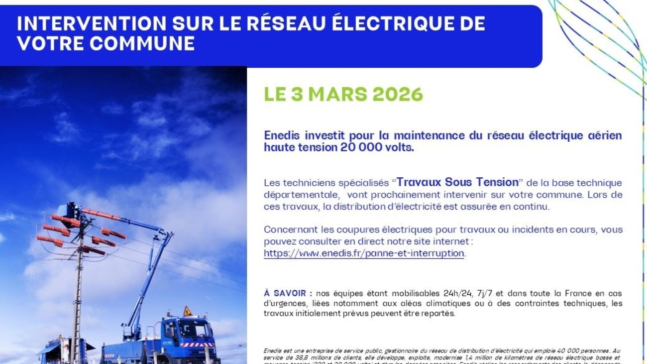 b3761c1870a0c3eaa8c4a801782c88e5_enedis-vou